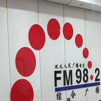 巩义新闻广播FM98.2